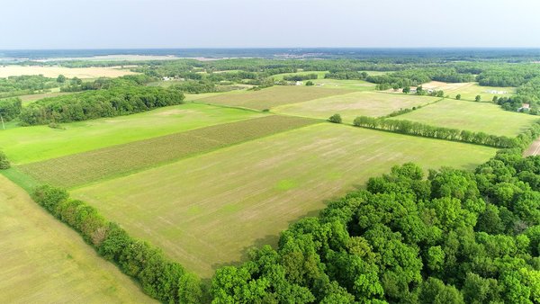 LAND AUCTION - 194+/- ACRES OFFERED IN 5 TRACTS IN VAN BUREN COUNTY, MICHIGAN